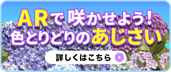 ARで体験、幻想的なほたるの世界!アプリダウンロードはこちら