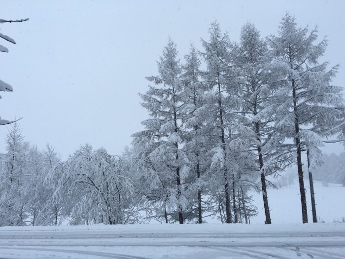 北海道の雪 mqdefault.jpg