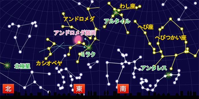 キラリと光るあの星は？！ 夏に楽しめる星たちをご紹介 | ウェザーニュース