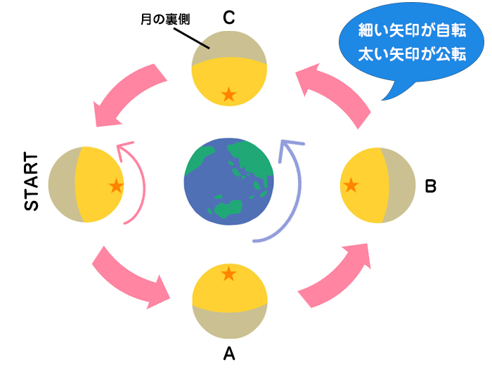 今週のお月さま 月の裏側が見えない理由って ウェザーニュース