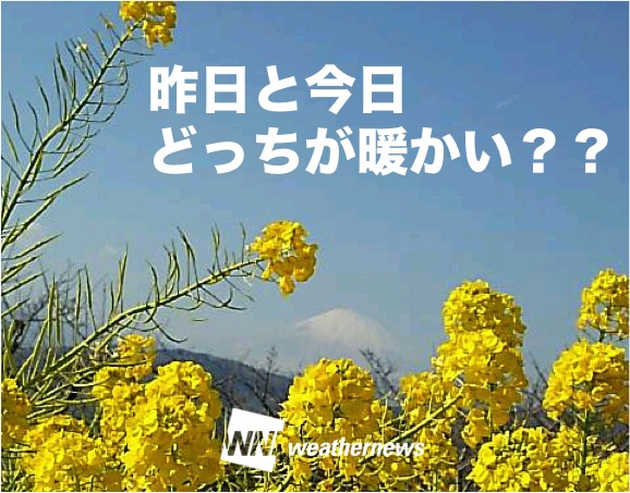 関東 日差しポカポカ2日目 昨日と今日だと 暖かいのはどっち ウェザーニュース