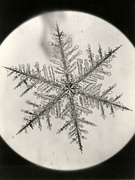 中谷が撮影した雪の結晶写真