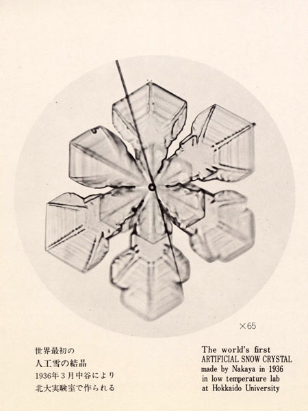 ウサギの毛につるされている人工雪