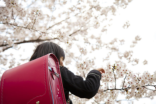 4月1日生まれの宿命？