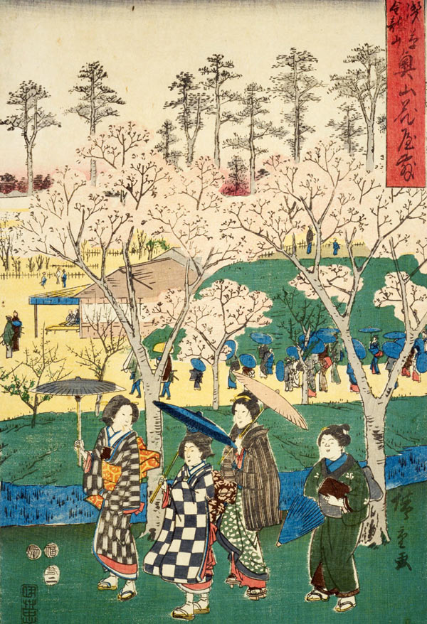 浅草金竜山奥山花屋敷