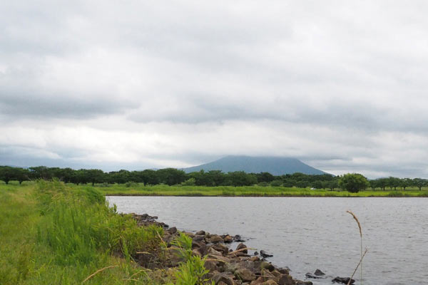 取材当日も筑波山に雲がかかっていた
