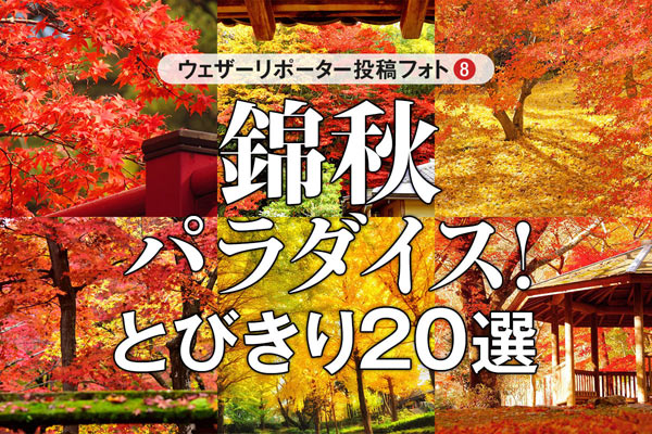 ウェザーリポーター投稿フォト〜錦秋パラダイス！　とびきり20選