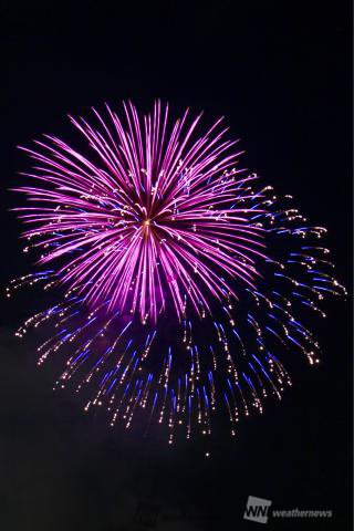 第50回たどつ夏まつり花火大会の開催情報 ウェザーニュース