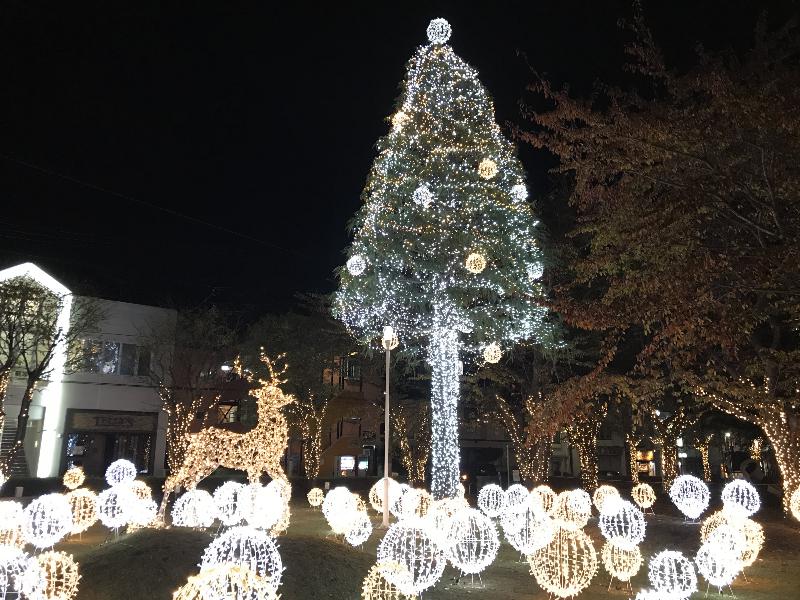三沢市中央商店街 中央町なかよし公園のイルミネーション情報 みさわクリスマスフェスティバル ウェザーニュース