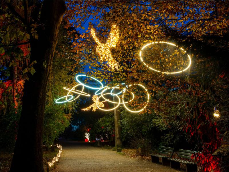 松江フォーゲルパークのイルミネーション情報 Winter Night Festival ウェザーニュース 松江フォーゲルパークのイルミネーション情報 Winter Night Festival ウェザーニュース