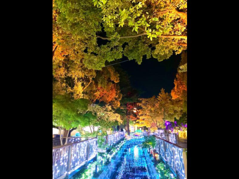 倉敷みらい公園のイルミネーション情報 くらしき きらめきのみち ウェザーニュース 倉敷みらい公園のイルミネーション情報 くらしき きらめきのみち ウェザーニュース