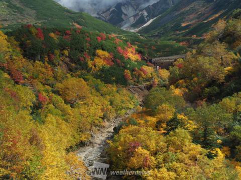 十勝岳 上川 北海道 の紅葉見頃情報 紅葉情報 ウェザーニュース