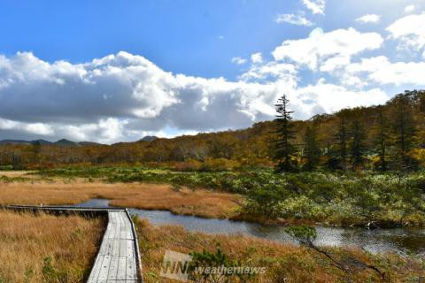 神仙沼 神仙沼自然休養林 後志 北海道 の紅葉見頃情報 紅葉情報 ウェザーニュース