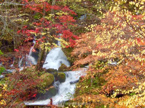 阿寒湖温泉 北海道 の紅葉見頃情報 紅葉名所 紅葉ch ウェザーニュース