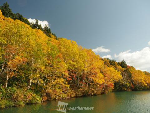 然別湖 十勝 北海道 の紅葉見頃情報 紅葉情報 ウェザーニュース