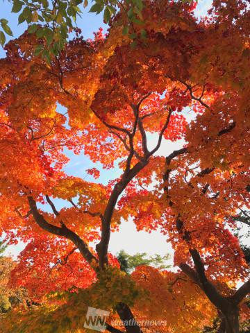 北海道の紅葉見頃情報 紅葉ch ウェザーニュース