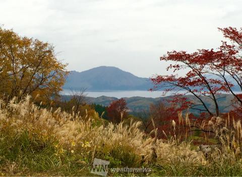 田沢湖高原 秋田 の紅葉見頃情報 紅葉情報 ウェザーニュース