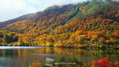 オススメ 秋田の紅葉見頃情報 ウェザーニュース紅葉ch