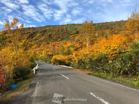 秋田の紅葉見頃情報 紅葉ch ウェザーニュース