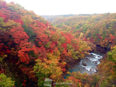 松川渓谷 岩手 の紅葉見頃情報 紅葉情報 ウェザーニュース