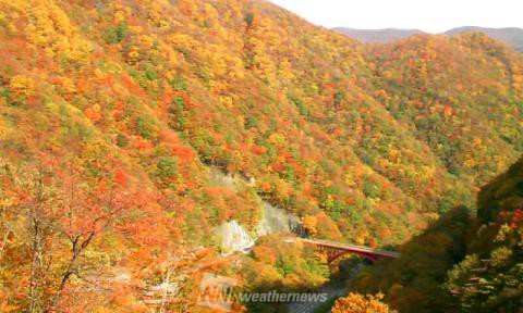 岩手の紅葉見頃情報 紅葉ch ウェザーニュース