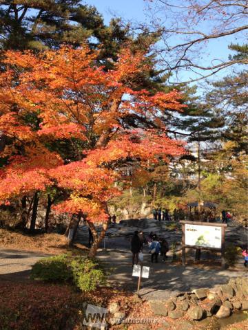 岩手の紅葉見頃情報 紅葉ch ウェザーニュース