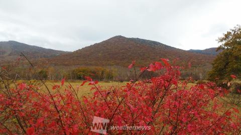 岩手の紅葉見頃情報 紅葉ch ウェザーニュース