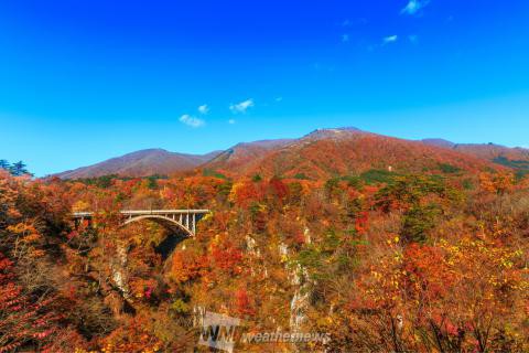 鳴子峡 宮城 の紅葉見頃情報 紅葉情報 ウェザーニュース