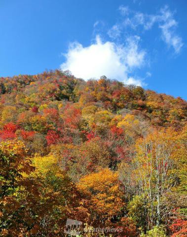 宮城の紅葉見頃情報 紅葉ch ウェザーニュース