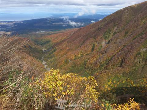 鳥海山 大平鹿公園 山形 の紅葉見頃情報 紅葉名所 紅葉ch ウェザーニュース