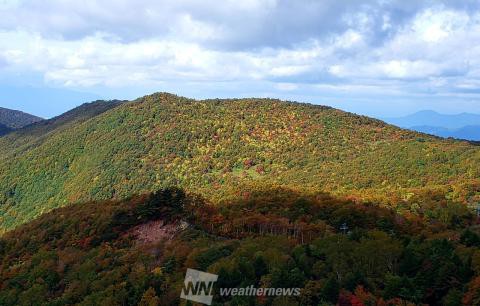 山形の紅葉見頃情報 紅葉ch ウェザーニュース