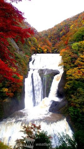 袋田の滝 茨城 の紅葉見頃情報 紅葉名所 紅葉ch ウェザーニュース