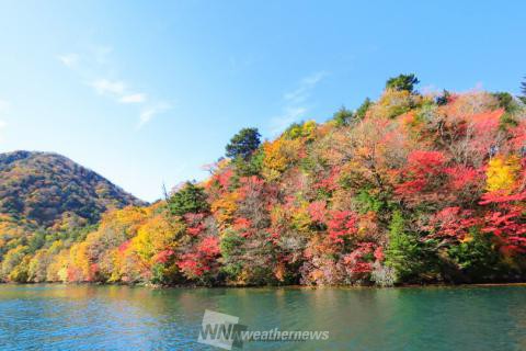 中禅寺湖 栃木 の紅葉見頃情報 紅葉情報 ウェザーニュース