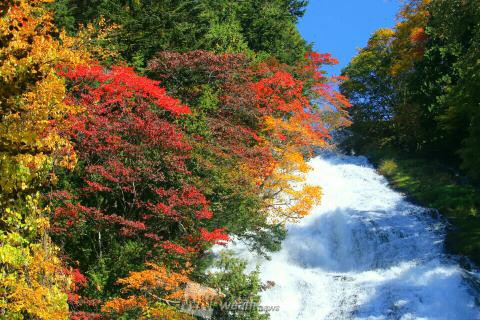 湯滝 栃木 の紅葉見頃情報 紅葉情報 ウェザーニュース