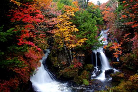 竜頭ノ滝 栃木 の紅葉見頃情報 紅葉名所 紅葉ch ウェザーニュース