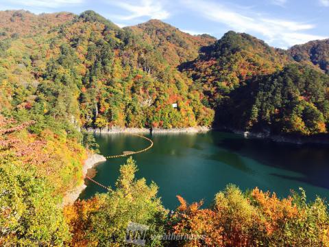 瀬戸合峡 栃木 の紅葉見頃情報 紅葉情報 ウェザーニュース