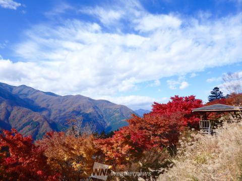 埼玉の紅葉見頃情報 紅葉ch ウェザーニュース