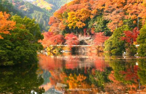 鎌北湖 埼玉 の紅葉見頃情報 紅葉名所 紅葉ch ウェザーニュース