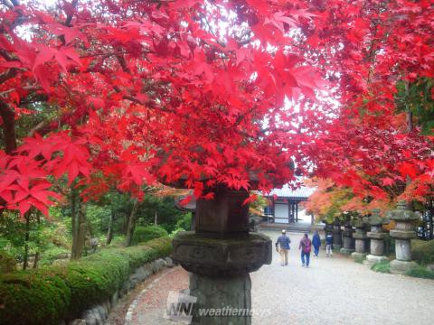 能仁寺 埼玉 の紅葉見頃情報 紅葉情報21 ウェザーニュース