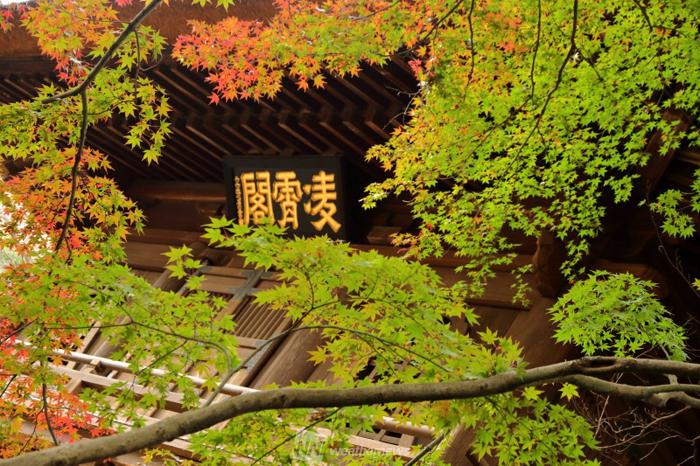 平林寺 埼玉 の紅葉見頃情報 紅葉情報 ウェザーニュース