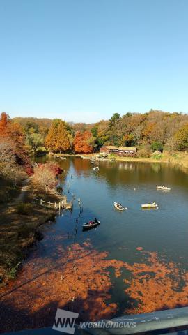 ふなばしアンデルセン公園 千葉 の紅葉見頃情報 紅葉名所 紅葉ch ウェザーニュース