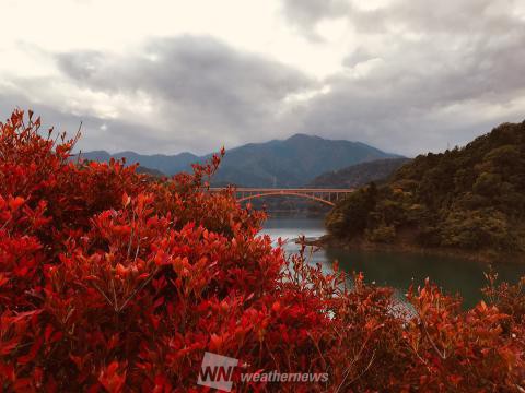 宮ヶ瀬湖 神奈川 の紅葉見頃情報 紅葉情報21 ウェザーニュース