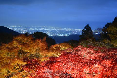 大山地区の紅葉 大山寺 大山阿夫利神社下社 神奈川 の紅葉見頃情報 紅葉情報 ウェザーニュース