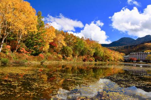 志賀高原 長野 の紅葉見頃情報 紅葉名所 紅葉ch ウェザーニュース