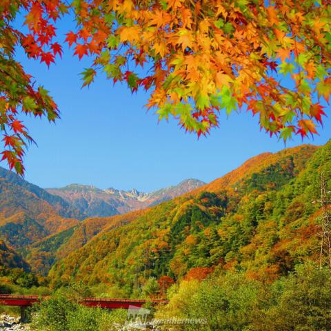 高峰高原 長野 の紅葉見頃情報 紅葉情報 ウェザーニュース