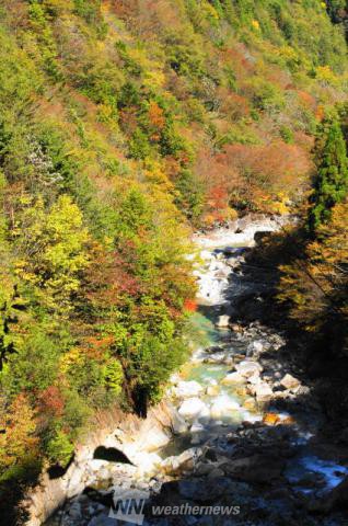 柿其渓谷 長野 の紅葉見頃情報 紅葉情報 ウェザーニュース