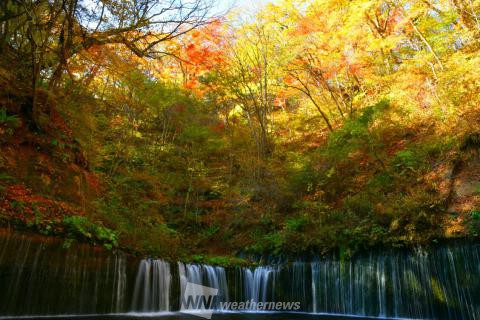 白糸の滝 軽井沢 長野 の紅葉見頃情報 紅葉名所 紅葉ch ウェザーニュース