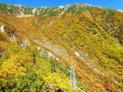 駒ヶ岳ロープウェイ 長野 の紅葉見頃情報 紅葉名所 紅葉ch ウェザーニュース