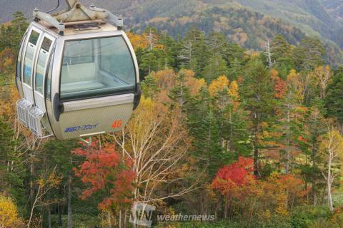 御岳ロープウェイ 長野 の紅葉見頃情報 紅葉名所 紅葉ch ウェザーニュース