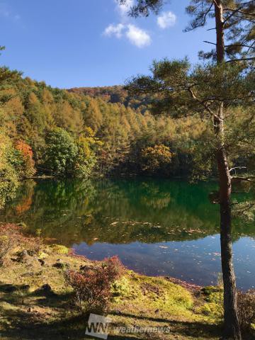 長野の紅葉見頃情報 紅葉ch ウェザーニュース